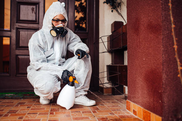 Reliable Mosquito Control contractor in Tulia, TX by Show Me Pest Control
